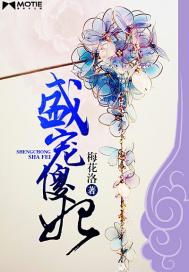 盛宠傻妃