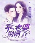 乖,老婆别闹了!