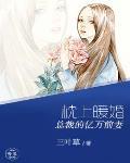 枕上暖婚:总裁的亿万前妻