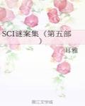 SCI谜案集(第五部)