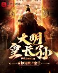 大明皇长孙!