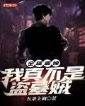全球震惊!我真不是盗墓贼