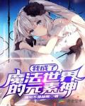 我成了魔法世界的元素神