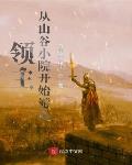 领主:从山谷小院开始游戏