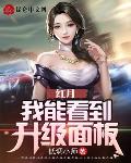 红月:我能看到升级面板