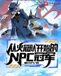 从火箭队开始的NPC冠军