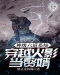 神级六道系统:穿越火影当赘婿