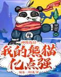 神级选择:我的熊猫亿点强