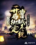 人在书中:开局绑定曹贼系统