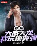 开局大威天龙,我玩梗变强