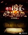 重生:图鉴收集系统