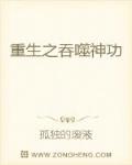 重生之吞噬神功