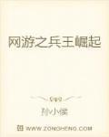 网游之兵王崛起