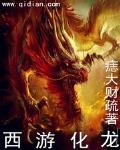 西游化龙