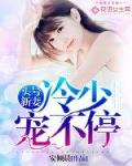 头号新妻:冷少,宠不停!