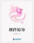 雁阵惊寒
