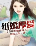 纸婚厚爱,首席的秘密情人